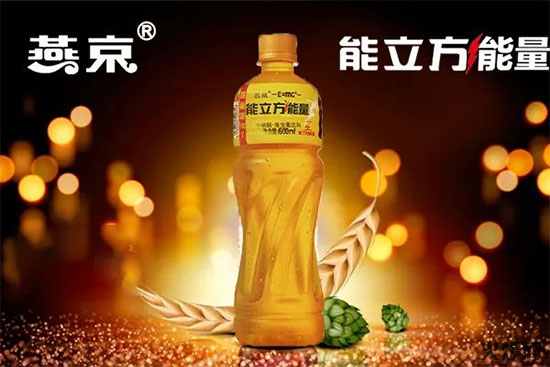 北京燕京啤酒股份有限公司 北京燕京啤酒股份有限公司